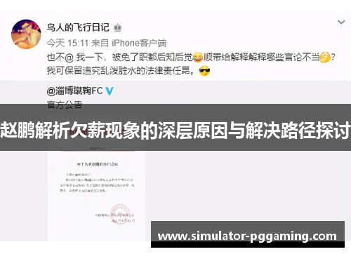 赵鹏解析欠薪现象的深层原因与解决路径探讨