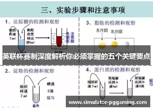 英联杯赛制深度解析你必须掌握的五个关键要点