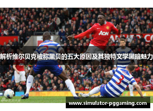 解析维尔贝克被称黑贝的五大原因及其独特文学黑暗魅力