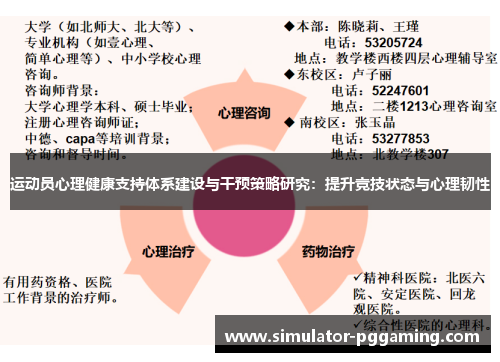 运动员心理健康支持体系建设与干预策略研究：提升竞技状态与心理韧性