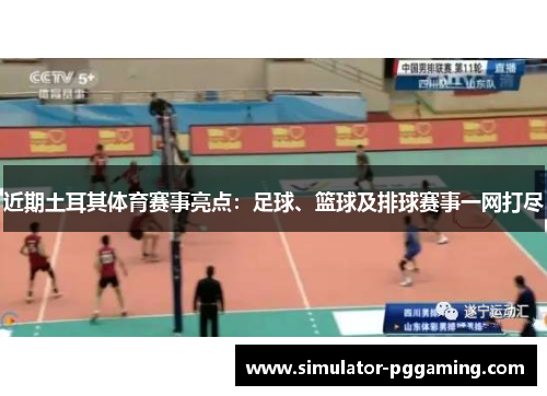 近期土耳其体育赛事亮点：足球、篮球及排球赛事一网打尽