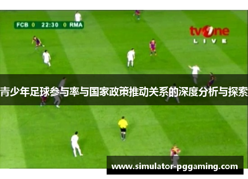 青少年足球参与率与国家政策推动关系的深度分析与探索