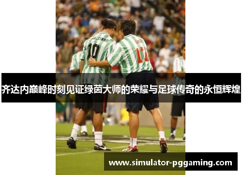 齐达内巅峰时刻见证绿茵大师的荣耀与足球传奇的永恒辉煌