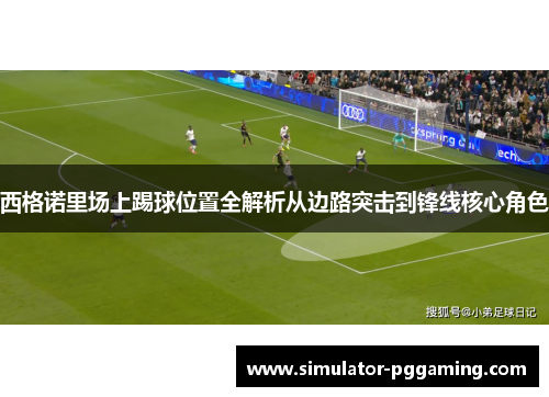 西格诺里场上踢球位置全解析从边路突击到锋线核心角色
