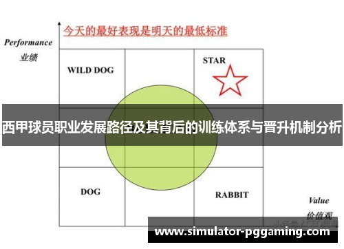 西甲球员职业发展路径及其背后的训练体系与晋升机制分析