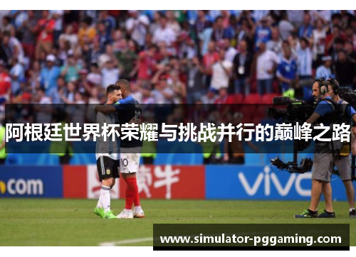 阿根廷世界杯荣耀与挑战并行的巅峰之路 阿根廷世界杯荣耀与挑战并行的巅峰之路