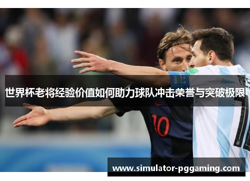 世界杯老将经验价值如何助力球队冲击荣誉与突破极限 世界杯老将经验价值如何助力球队冲击荣誉与突破极限