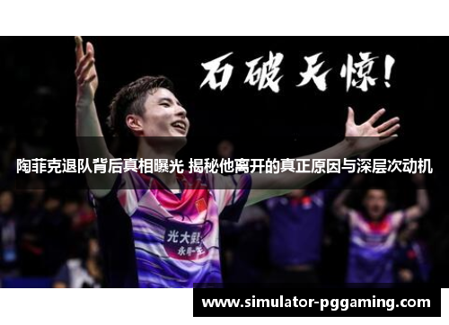 陶菲克退队背后真相曝光 揭秘他离开的真正原因与深层次动机