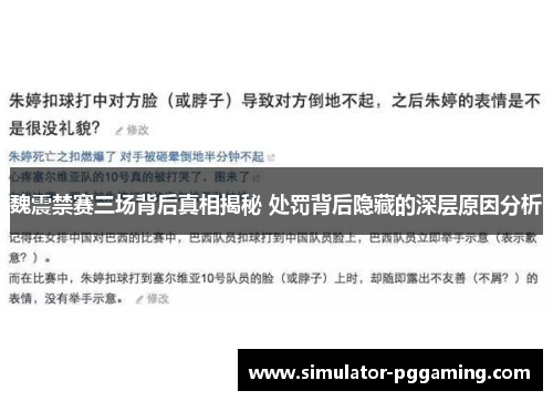 魏震禁赛三场背后真相揭秘 处罚背后隐藏的深层原因分析