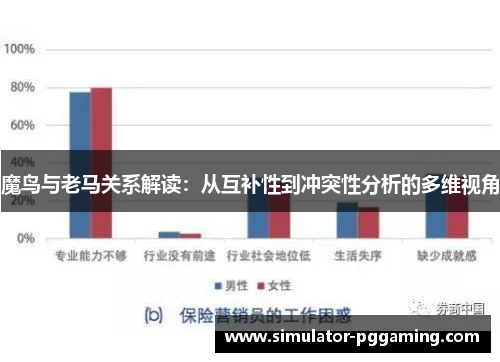 魔鸟与老马关系解读：从互补性到冲突性分析的多维视角