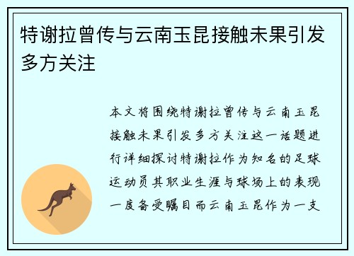 特谢拉曾传与云南玉昆接触未果引发多方关注